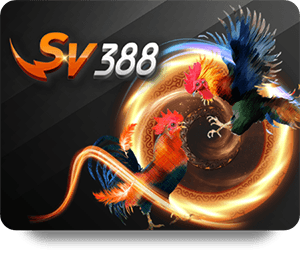 FAQ Về Nạp Tiền Siêu Tốc Tại FUN88 Bạn Nên Biết